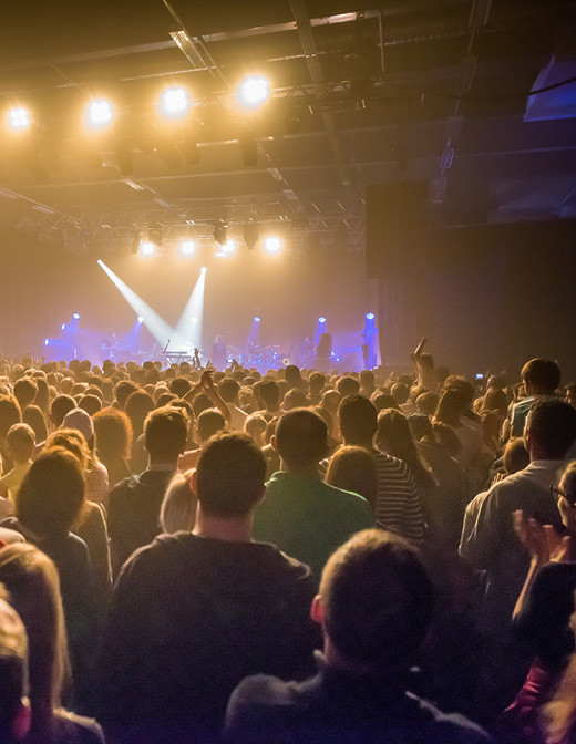 Concerts & Shows