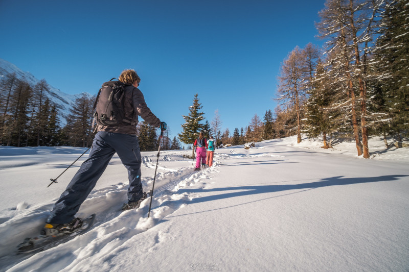 Snowshoeing