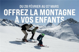 25c9f10c-5435-468a-8e76-3644c2dc1c3c-13393380