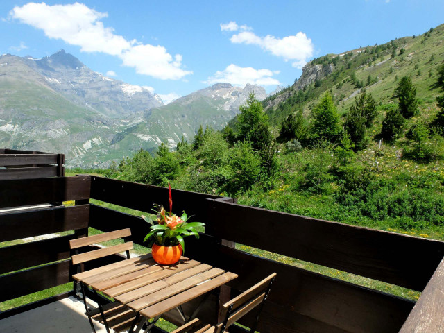 BALCON VUE MONTAGNE ETE