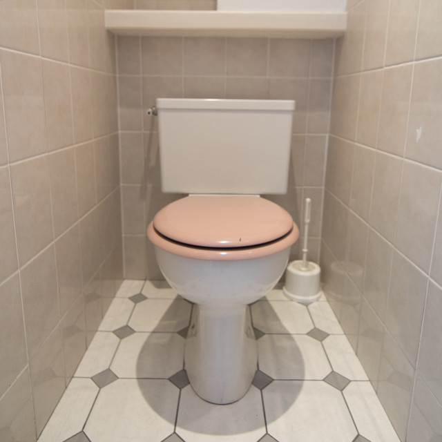 _lv_images__lot_0000020601_07_13503325