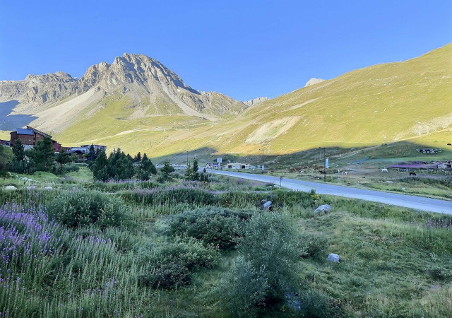 Vue été