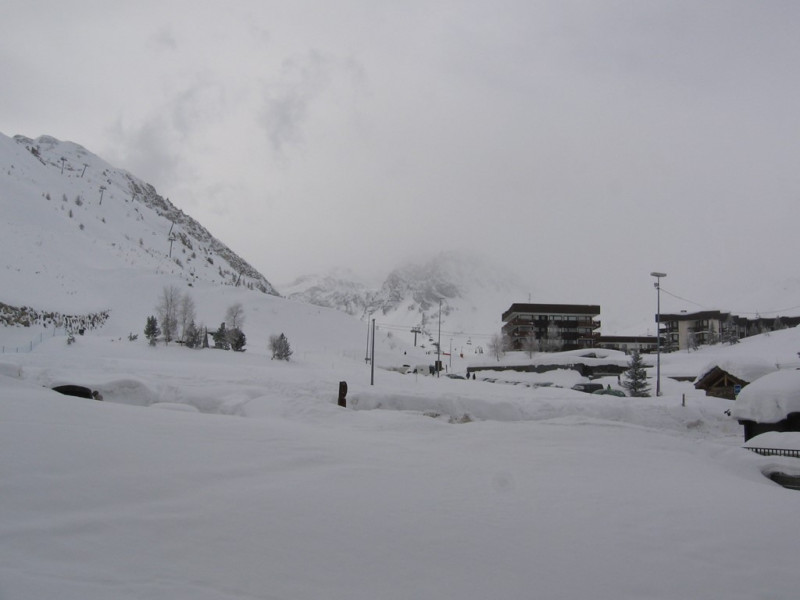 _clients_227332001_photos_63f_13187464 _clients_227332001_photos_63f_13187464