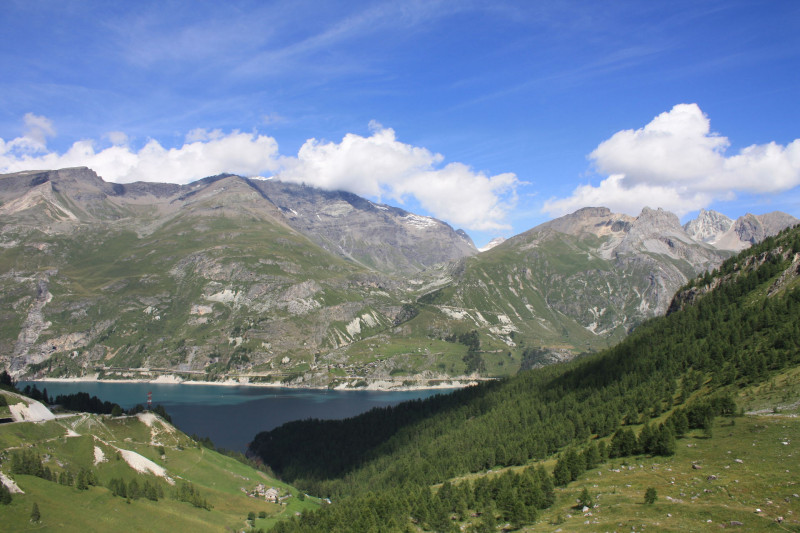 _lv_images__lot_0000000149_06_13575635 _lv_images__lot_0000000149_06_13575635