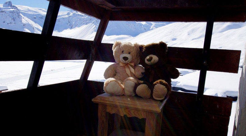 _lv_images__lot_0000000205_16_15468548 _lv_images__lot_0000000205_16_15468548