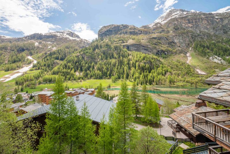 _lv_images__lot_0000000373_16_14019533 _lv_images__lot_0000000373_16_14019533