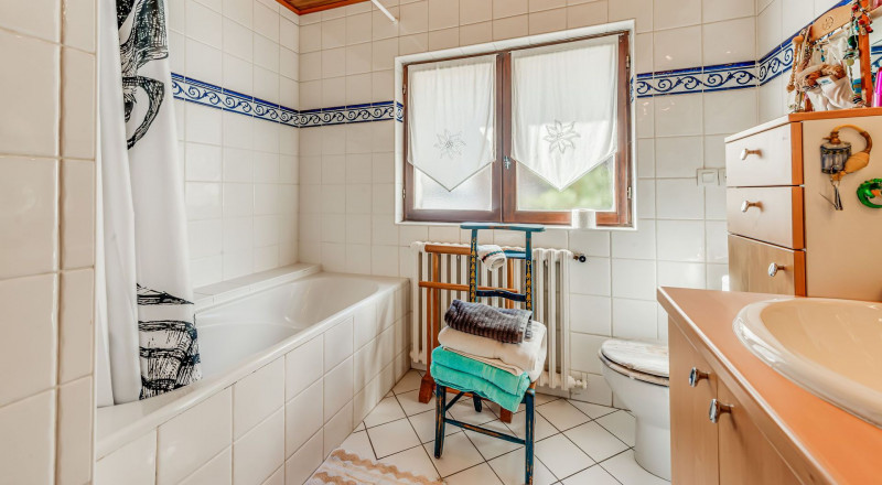 _lv_images__lot_0000000501_10_13451229