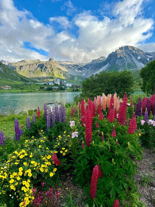 _lv_images__lot_0000020605_12_14420197