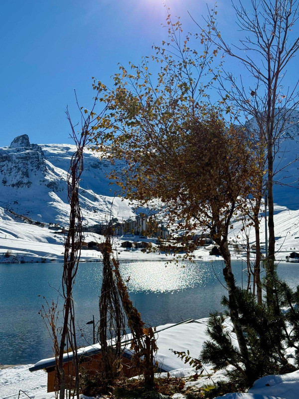 _lv_images__lot_0000030310_10_15350066 _lv_images__lot_0000030310_10_15350066